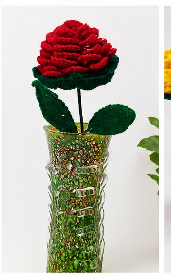 Red Rose in Glass Vase